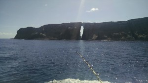 Fishing Pole View