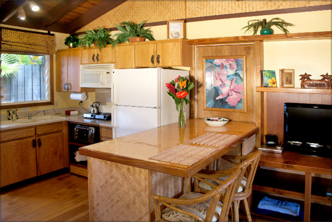 Tropical Hawaiian feel...