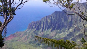 Kalalau Rim Hike